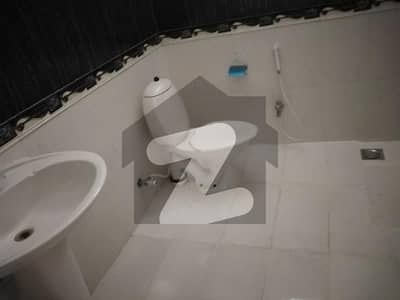 Renovated house for rent