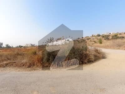 انجنیئرز