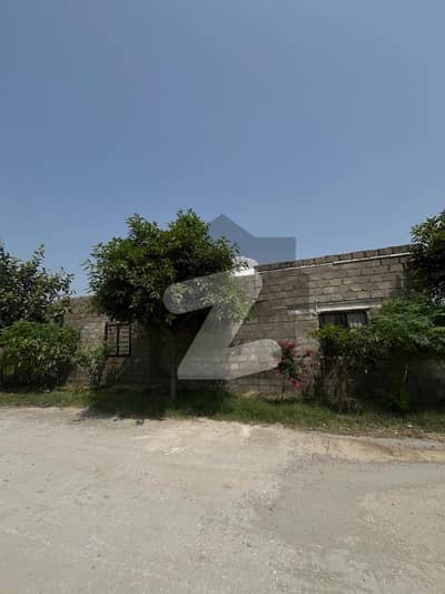 زمر