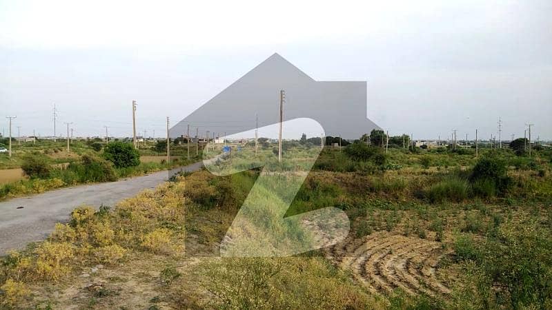Low-Budget Plot In I-16 High Appreciation Expected