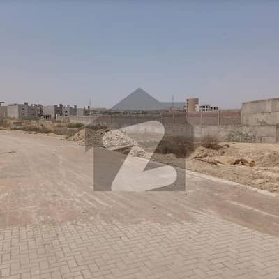 صائمہ