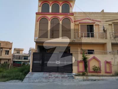 نیو