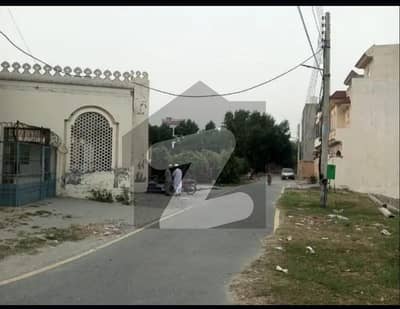 وائٹل