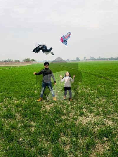 بیدیاں