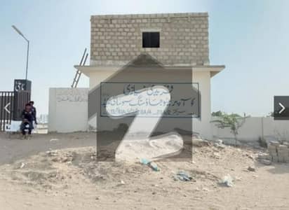 فریدی