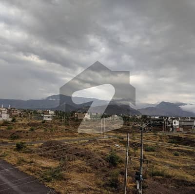 ریگی