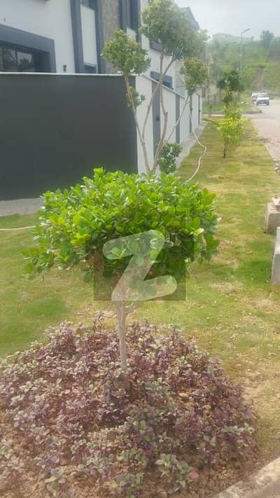 Excellent Farm House In Islamabad