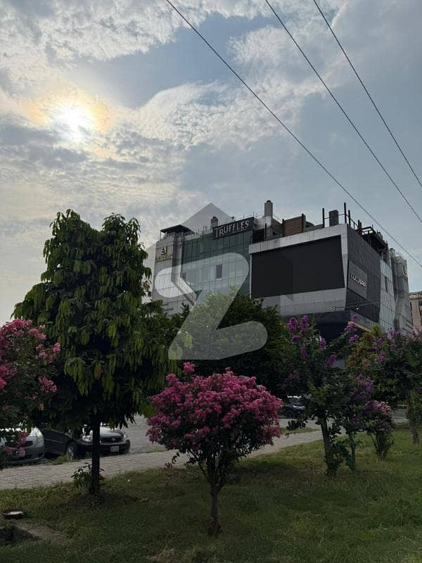 24 