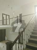 24 