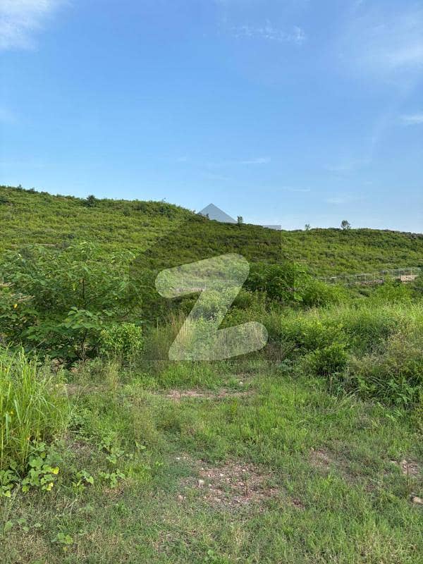 Sector C Plot 2,500 Sq. Yards