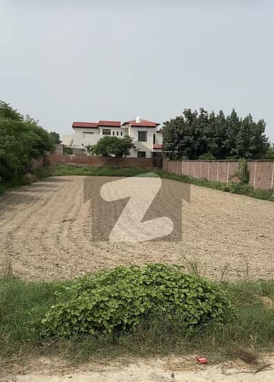 بیدیاں