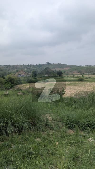 بلکاسار