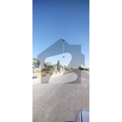 ڈی