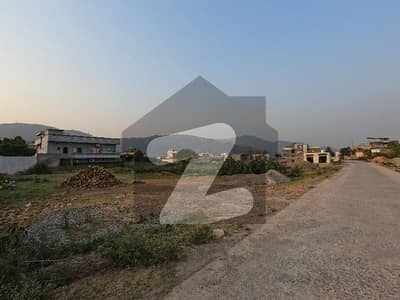 On Excellent Location 11250 Square Feet Spacious Residential Plot Available In Shah Allah Ditta For Sale