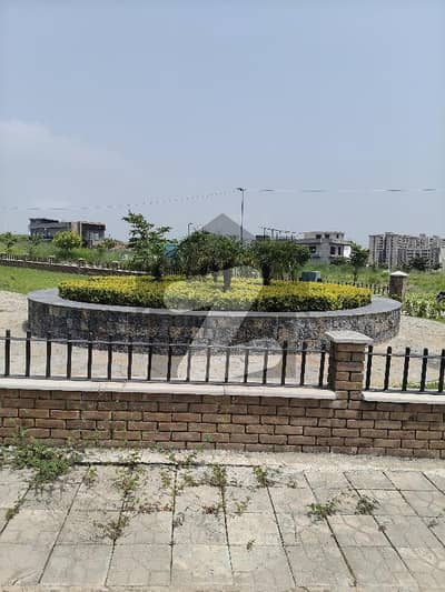 ڈی