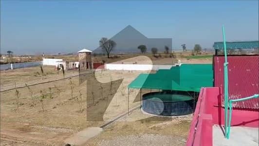 18 Kanal Farm House With Servant Quarters And All Essential Amenities