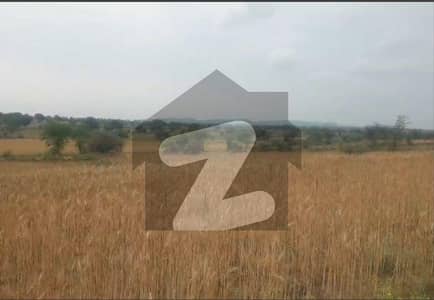 وارڈ نمبر 8 تلہ گینگ میں 110 کنال زرعی زمین 2.75 کروڑ میں برائے فروخت۔