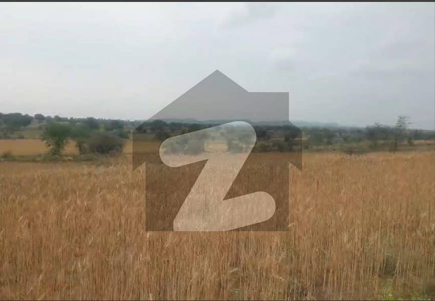 Cultivated and levelled land
