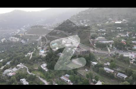 ویلی