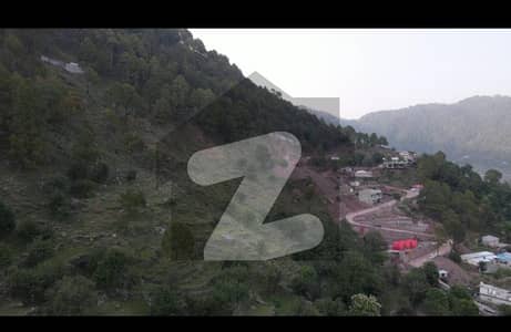 مری