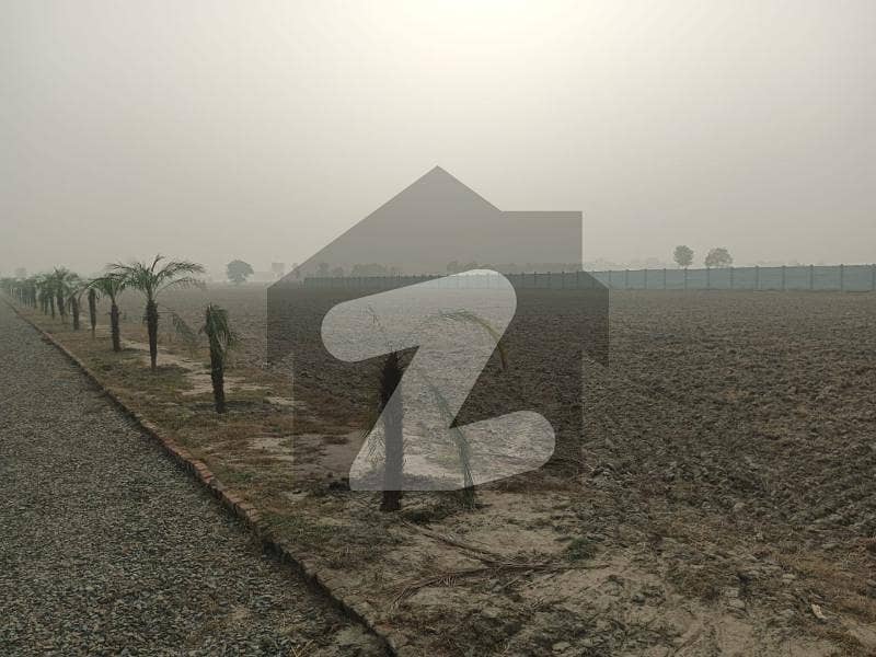 16 KANAL FARMHOUSE PLOT IN HARBOUR