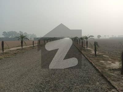 حربور لاہور میں 16 کنال زرعی زمین 5.6 کروڑ میں برائے فروخت۔