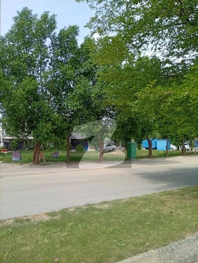ویلینشیاء