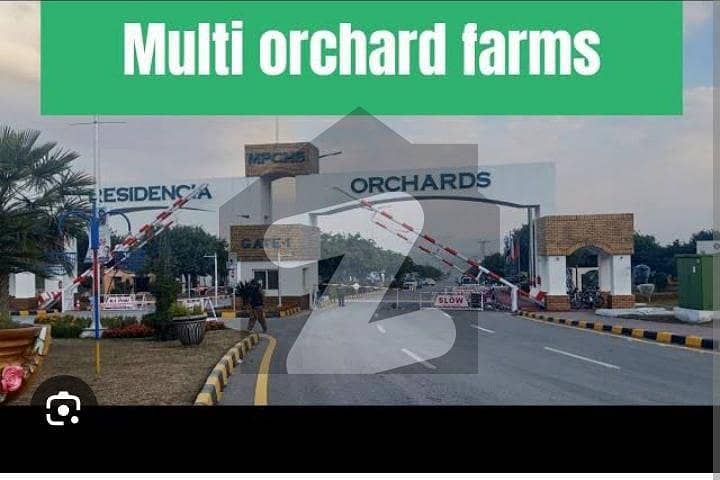 Multi Orchard Farmhouse Plot 6 Kanal Possession Good Location ...