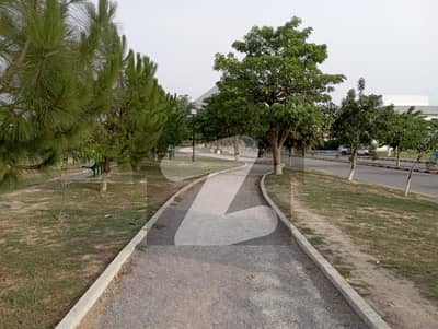 ایم