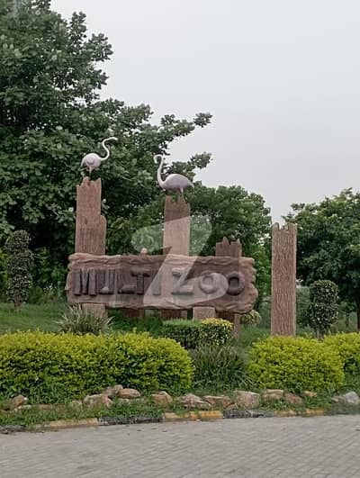 ایم