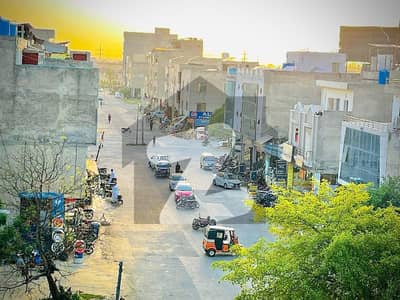 ویلینشیاء