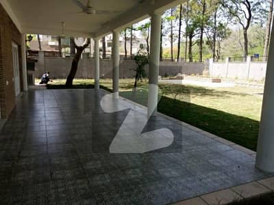 Prime Location Newly Renovated Tiles Floor Lush Green Garden Ideal For Foreigners-