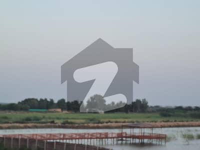 44 Acre Property For Sale