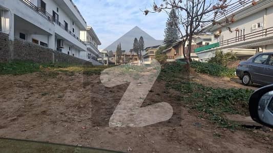 ایف
