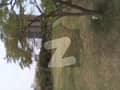 32 