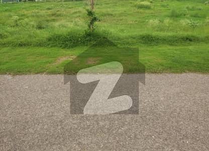 pair plot 2 Kanal (1+1) on reasonable price on good location with meeting possible