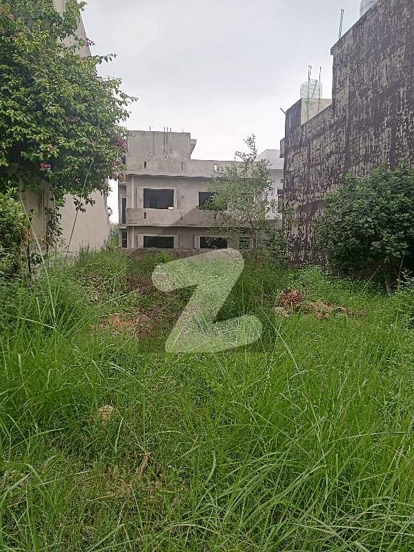 D12/3.70 Feet Road Marglla Face Plot For Sale D12/3.70 Feet Road Marglla Face Plot For Sale