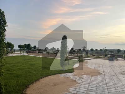 ڈی