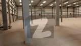 26 