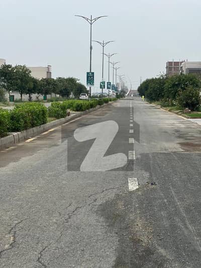 نیو