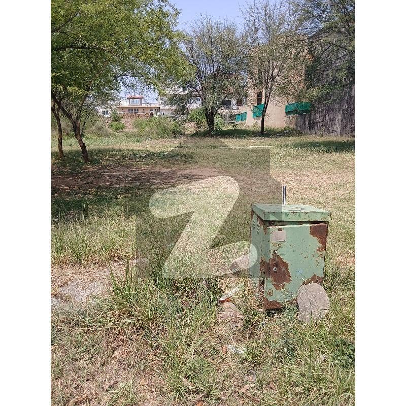 D12/1 25*50 Level Plot For Sale
