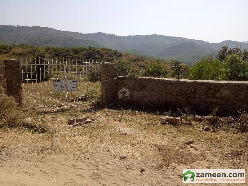 150 Kanal Farm Plot For Sale In Lehtarar Road Near Chirah