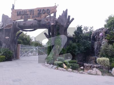 ایم