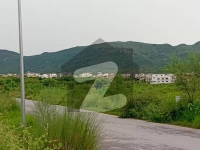 ڈی