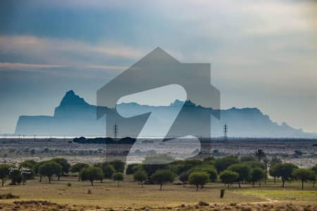 موضع شتانگی گوادر میں 8 کنال زرعی زمین 1.1 لاکھ میں برائے فروخت۔