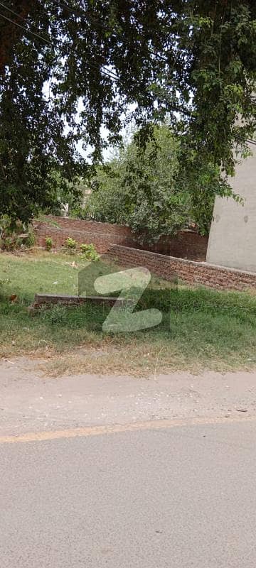 سنی
