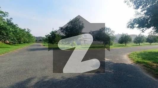 CORNER F BLOCK 1 KANAL HOT LOCATION PLOT FOR SALE