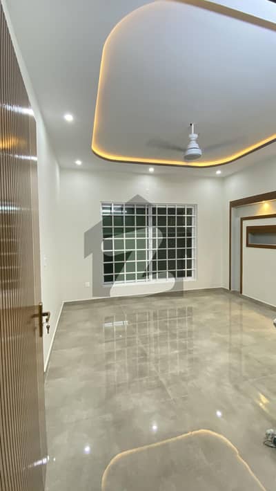 جناح