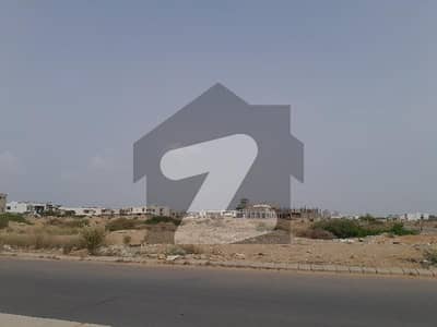 ڈی