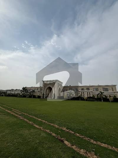 ڈی